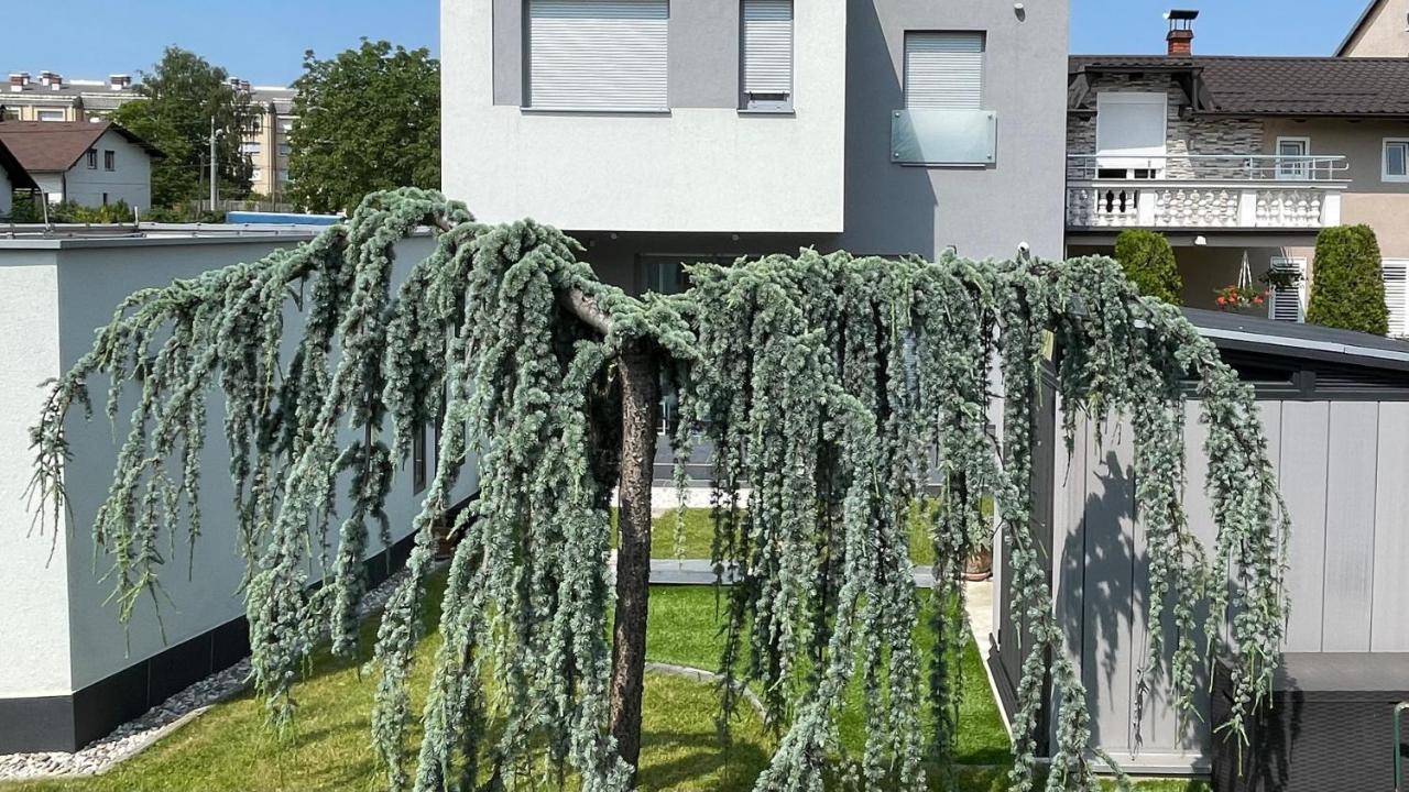 Villa Mami Zagreb Dış mekan fotoğraf